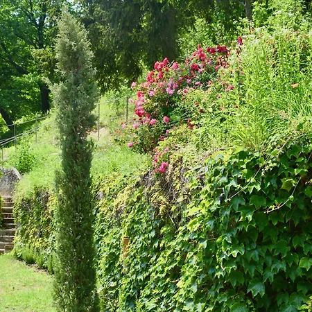 Holiday home Menaluna - 4-bedroom Secluded With Pool Rocchetta Palafea